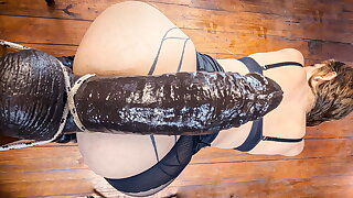 NO ANAL LIMIT 2